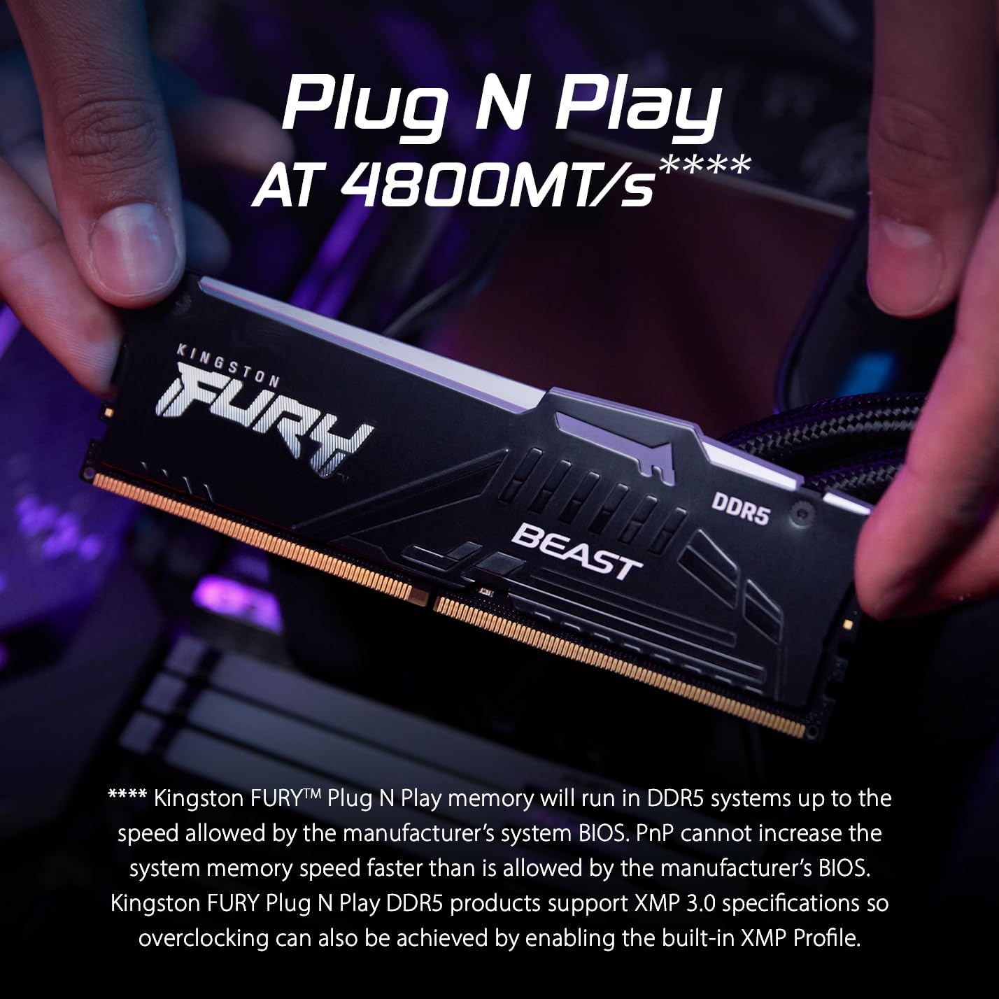 28080006