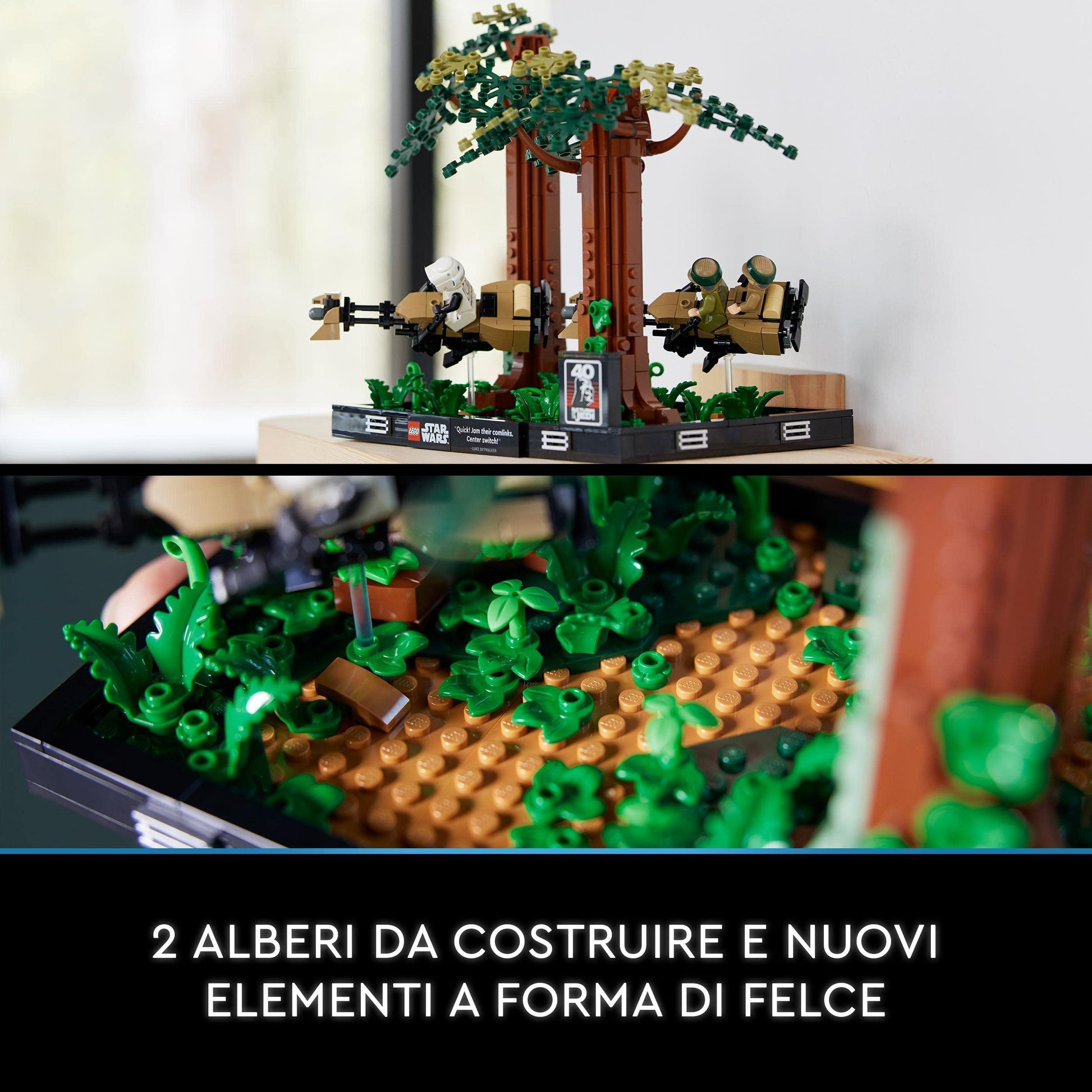 28081638