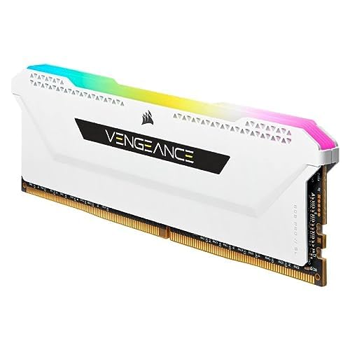 29619010