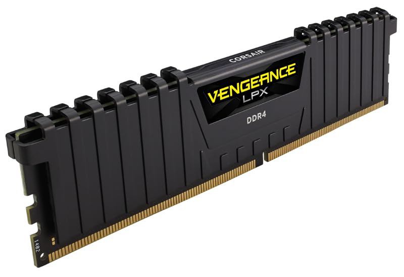 29619029